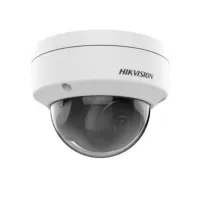 Caméra IP 2MP Dome